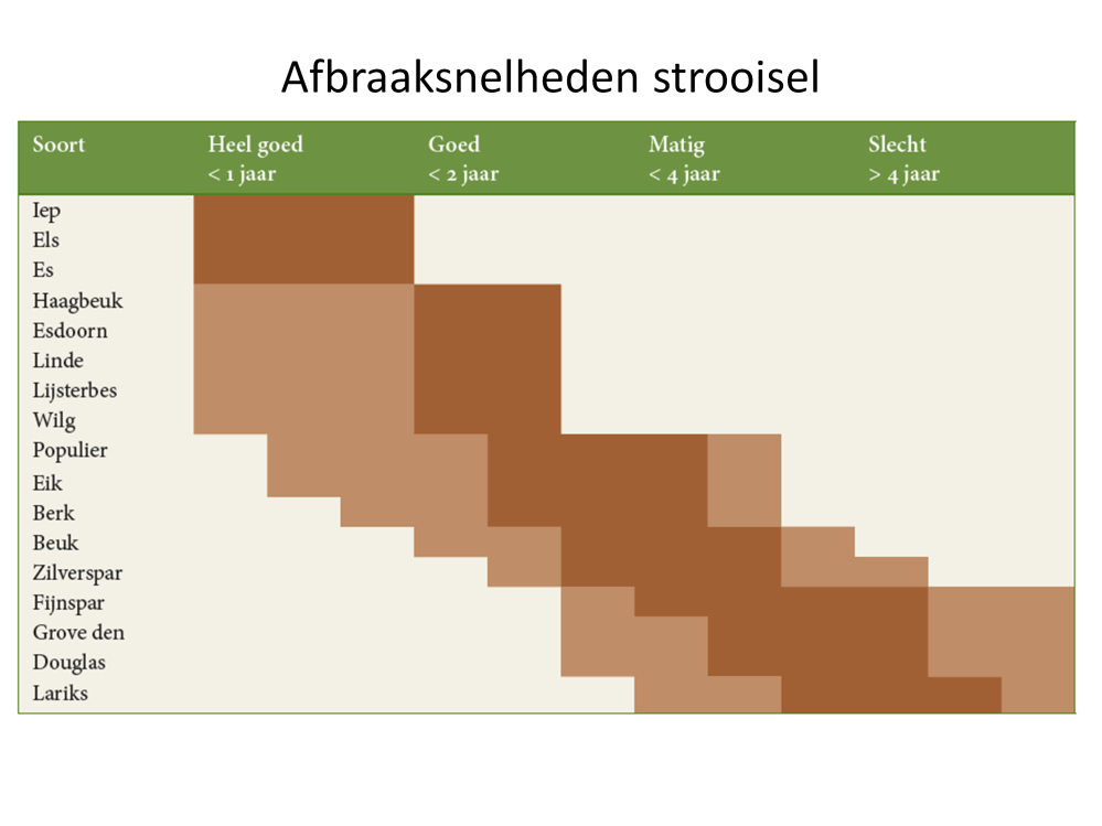 Een overzicht van de strooiselkwaliteit van de belangrijkste boomsoorten in Nederland, uitgedrukt in afbraaksnelheid van het blad.