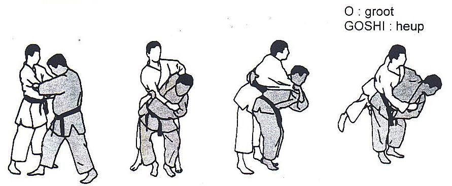 Judoprogramma