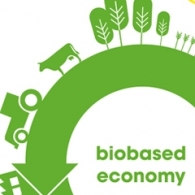 Bio-economie in EU bundelt krachten In de bio-economie in Europa verdienen meer dan 20 miljoen mensen hun brood. Jaarlijks wordt zo n 2 biljoen euro omgezet. Dat kan nog veel beter, vindt de sector.