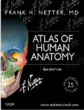 Bachelor 1-3 Bachelor - opleiding ANATOMIE Keuze uit een van de volgende anatomieatlassen*: Agur AMR, Grant s Atlas of Anatomy. Lippincott Williams & Wilkins; 2012.