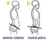 Tenslotte is wat extra stretch werk voor de minder flexibele spieren en rumble/foam rollen ook zeker aangeraden zodat de spieren zich in hun optimale bewegingsbaan kunnen bewegen.