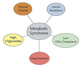 Dia 7 Metabool Syndroom Er is sprake van het metabool syndroom als er ten minste 3 criteria aanwezig zijn (ongeachte combinatie).