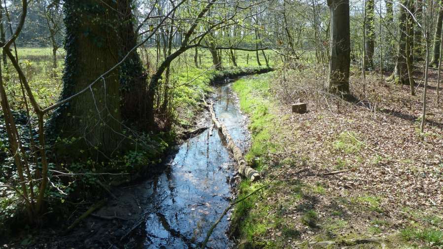 Beek in Smalenbroek.