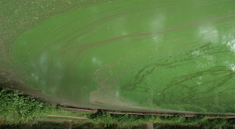 Aanleiding: overlast blauwalgen wijdverbreid probleem Overlastlocaties Noord- Brabant 2009-2012 3 Start 2007: vraagstelling waterschapsbestuur Welke maatregelen kan het waterschap in de komende