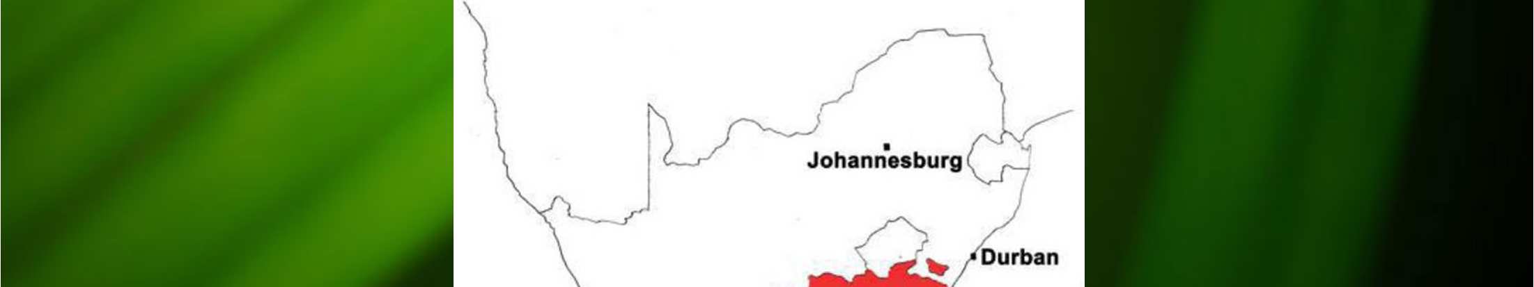regio Zithulele in Zuid-Afrika Stichting