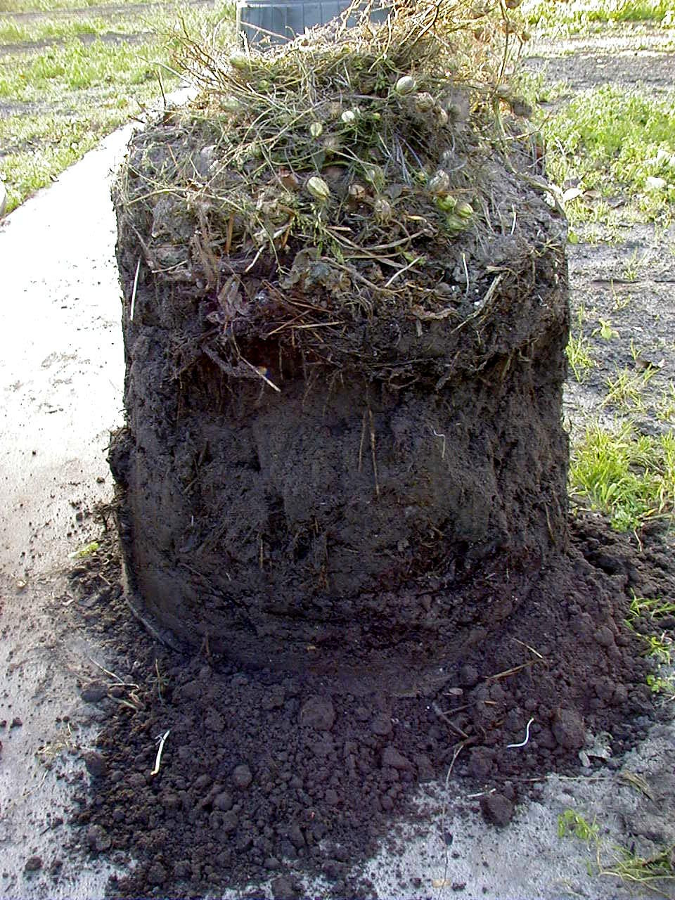 wormen, larven, pissebedden en torretjes helpen bij het verteren van het afval. Dit omzetten van tuinvuil naar compost duurt ongeveer vier maanden.