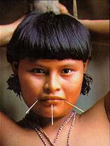 in de geschiedenisles over volkeren die in deze tijd nog leven zoals in onze pre- historie met name de Yanomami indianen in het Amazonegebied.