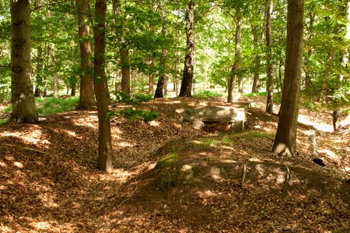 7. Loopgravenpad Mastenbos L5/L6 Al honderd jaar vind je in het Mastenbos van Kapellen een deel van de nooit gebruikte Duitse verdedigingslinie.