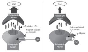 Opioiden Verschillend klinisch profiel naargelang receptor interactie Buprenorfine, methadon Morphine, fentanyl, sufentanil, oxycodone, hydromorfone Tapentadol MOR-NRI 2 ligands (Ca 2+ ) Tweevoudig