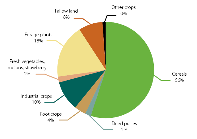 verdeling weergegeven van het gebruik van akkerbouwland in de EU. Uit de figuur blijkt dat op dit moment wordt ca. 60 % hiervan gebruikt voor de teelt van granen, aardappelen en suikerbieten.