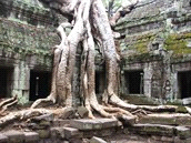 Rondreizen / Azië / Cambodja Code 237205 P avontuur op maat Niveau Accommodatie Cambodja * vanuit Vietnam naar Angkor, 4 dagen, verlenging aansluitend aan Vietnam reis De Khmer tempels van Angkor in