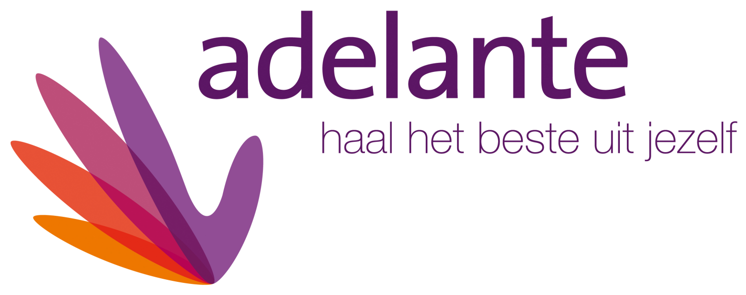 Reglement voor de raad van toezicht van Stichting Adelante Groep Volgens de statuten van Adelante Groep is de raad van bestuur belast met en eindverantwoordelijk voor het bestuur van de stichtingen