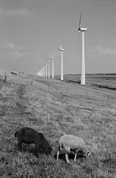 Uitbreidingsplannen in de NOP 1993-1994: Plan-MER windenergie voor Provincie Flevoland Locatie Noordermeerdijk Zoekgebieden buitendijks 1994 1999: Boeren beginnen met windturbines bij de