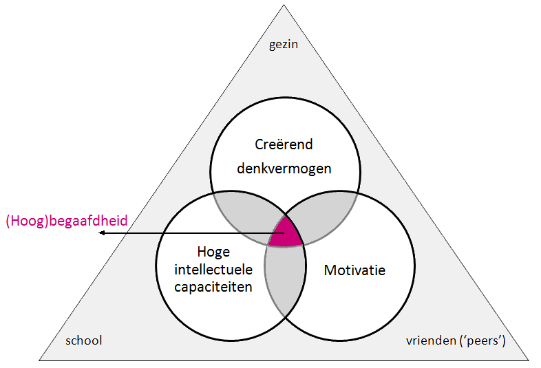 Zij zagen dus meerdere oplossingen voor één probleem en dachten dus divergent. Maar het is vanzelfsprekend dat CITO niet alle antwoorden goedkeurt, ondanks dat in feite alle antwoorden mogelijk zijn.