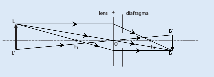 i j k Bij een positieve lens is het gevorme eel vergroot ls e voorwerpsfstn kleiner is n twee keer e rnpuntsfstn zit (v < 2f).
