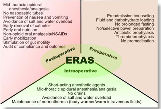 ERAS evidence-based protocol Doel o.a.: optimale voedingsinterventie mogelijk maken door het behouden van metabolische controle en het voorkomen (beperken) van katabolie.