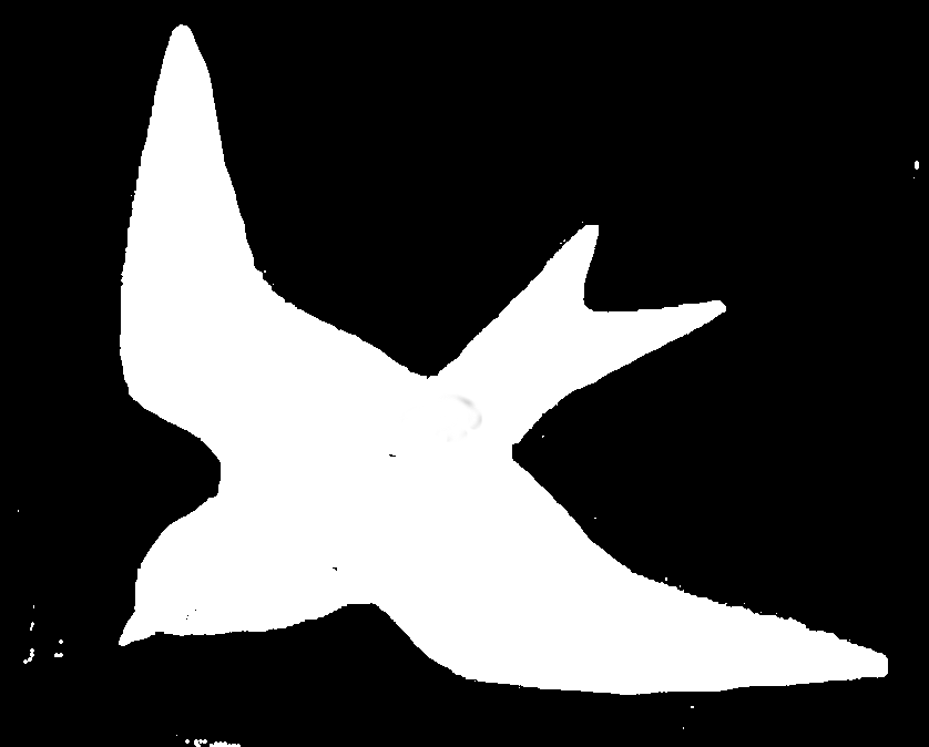 De gierzwaluw niet verwarren met: Boerenzwaluw Huiszwaluw 2 Bij allebei is de buik wit en ze kunnen op