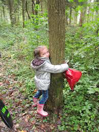 wij hebben gepakt nemen 4. de mannen hebben genomen kleven 5. de kinderen hebben gekleefd zien 6. heeft niemand gezien? kijken 7. ik heb gekeken ruiken 8. veel mensen hebben geroken *schrijven 9.