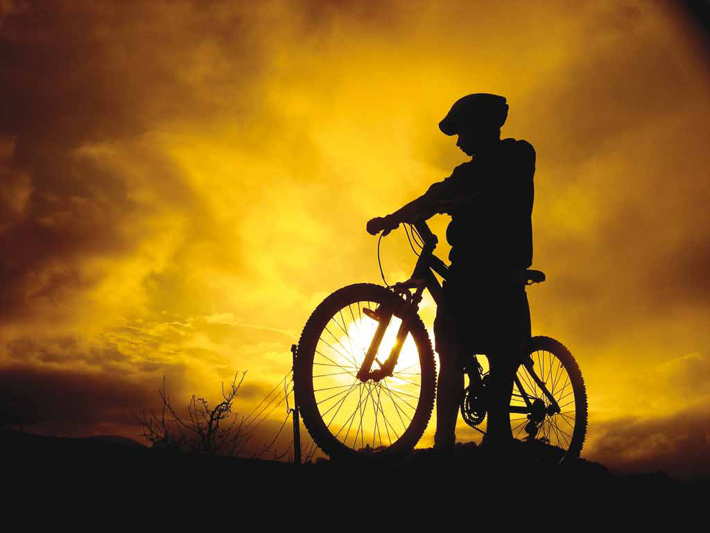 Fietsverhuur: U kunt tot een dag van tevoren fietsen huren via de receptie (let op, dit is minimaal voor 2 dagen). De fietsen worden voor u besteld bij Mous Tweewielers.