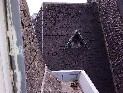 Bron 2/M2: cementen dakleien dak en zijkant dakkapellen