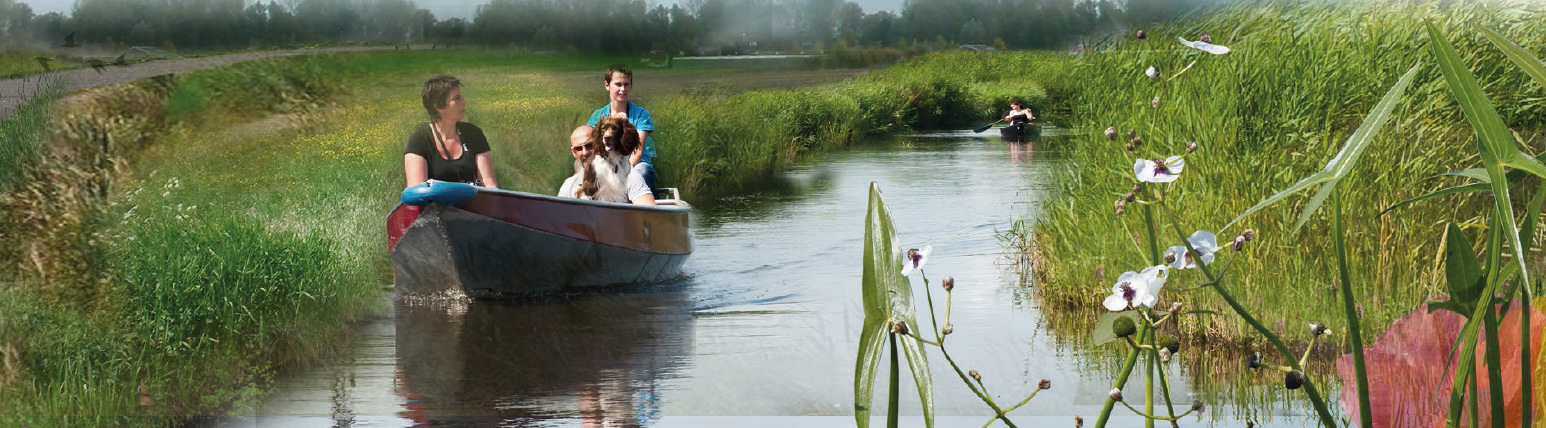 In 2009 is in Hellevoetsluis op initiatief van bewoners (verenigd in de Stichting Natuurlijk Grasweggebied) aan de Grasweg een natuurgebied van ongeveer 7 hectare aangelegd.