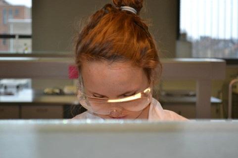 Experiment 1: Knippen met restrictie analyse Elke leerling kreeg individueel een set materiaal bestaande uit: Micropipet Tips Eppendorfbuisjes Buisje met plasmide DNA( pbr322) Buisje met H2O Buisje