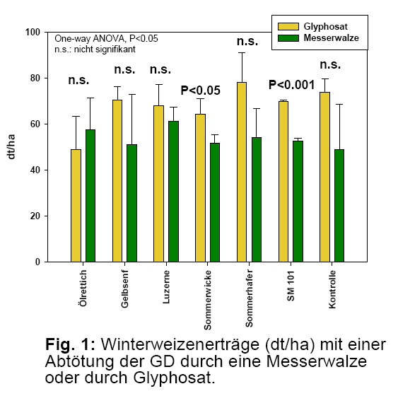 Resultaten: Figuur 3.8: Resultaten van een proef groenbemesters in een Directzaai systeem op het gebied van bodembedekking en biomassaproductie. Bron: Stadler 2010.