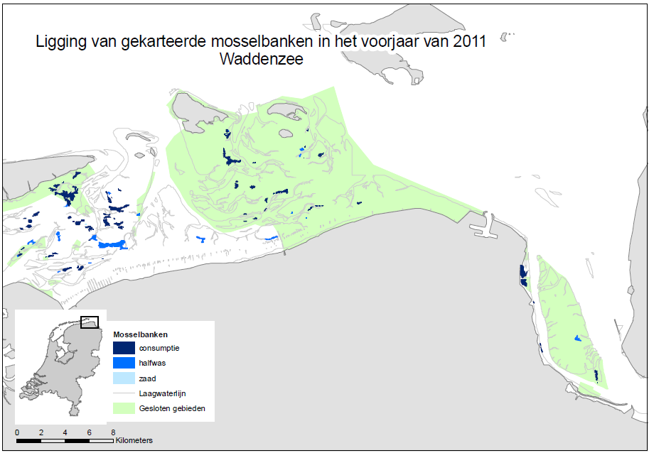 Figuur 20 Ligging mosselbanken in de Waddenzee voorjaar 2011.