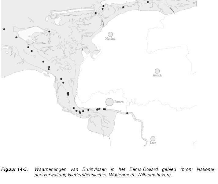 Figuur 28 Waarnemingen van bruinvissen in het Eems-Dollard gebied. Bron: Nationalparkverwaltung Niedersächsisches Wattenmeer, Willemshaven.