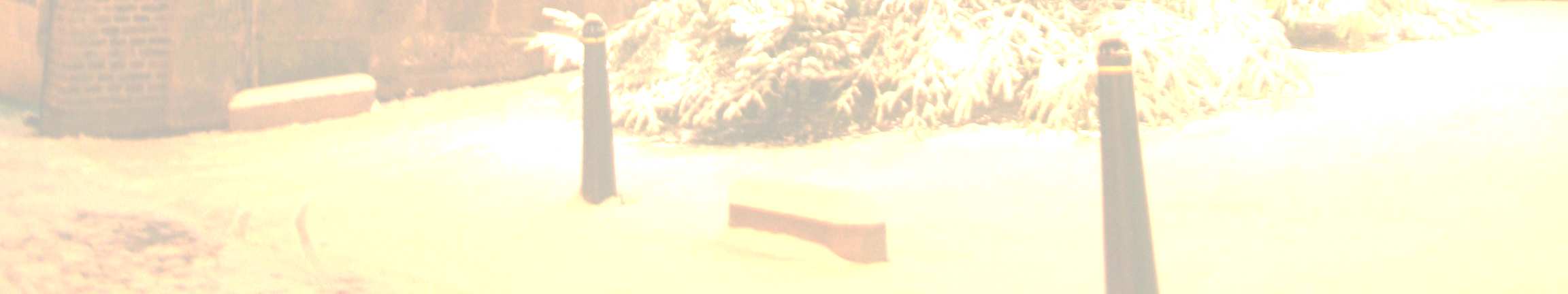 Kerstbuffet 24 december Wildzwijnpaté met gemarineerde abrikozen Hertenham met hartige koekjes van tijm Carpaccio van het Lakenvelder rund uit Voerendaal Hangop met gemarineerde vergeten groenten uit