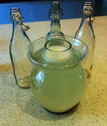 Traditioneel Ginger Ale Receptuur Starter: Een levende kolonie van gisten en soms bacterien. 10g geraspte gember + 5g suiker + 100g water in een pot met een doekje erover.