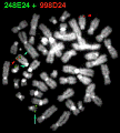 000 genen Chromosomale deleties DNA amplificaties Puntmutaties Chromosomale translocaties Numerieke chromosoom afwijkingen Functioneel eiwit