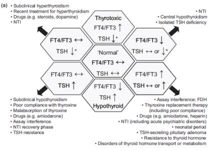 Conclusies: primaire hyperparathyreoidie Conclusies: primaire hyperparathyreoidie - Diagnostiek PHPT (hydrochloothiazide, FHH) - Indicaties operatie asymptomatische PHPT (leeftijd<50jr,