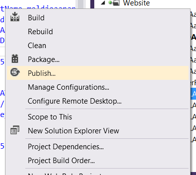 3. Rechtsklik op het project in kwestie en selecteer opti e Publish...: 4.
