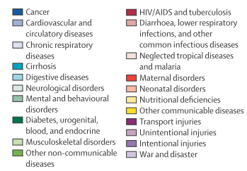 Ziektelast wereldwijd - belangrijkste