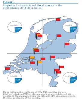 Knoester, TvI, 2014 Slot, Eur. Surveill. 2013 Hepatitis E probleem in Nederland? Ca. 40.