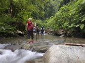 Rondreizen / Midden-Amerika / Costa Rica Code 267513 P avontuur op maat Niveau Accommodatie Costa Rica Caribe * Eco Selva Bananito, 3 dagen, verblijf vanuit eco natuurlodge Verborgen in het regenwoud