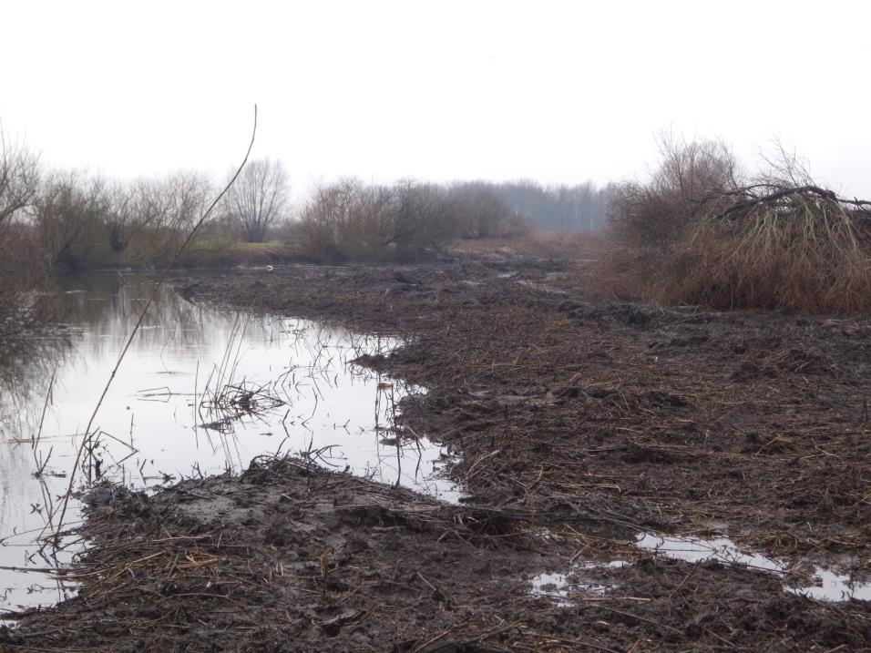 Oplossing Instandhouding Natuur Plan Alternatief Gentbrugge : open water kant Nijverheidskaai & riet/wilgen kant Arbed site Gentbrugge sluis Heusdenbrug : gedempt getij helft rietkragen/helft open