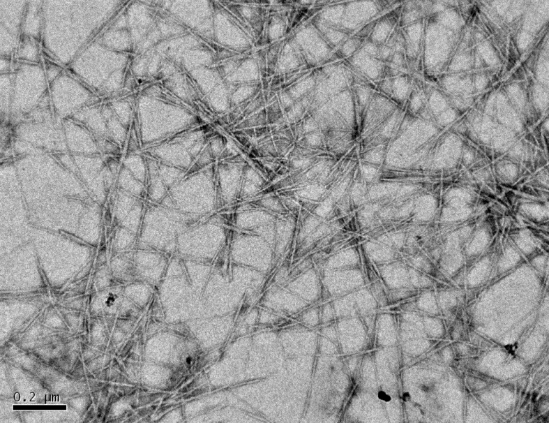 3 Nano Crystalline Cellulose (NCC) Verwaardingsroutes cellulosehoudende stromen 3.