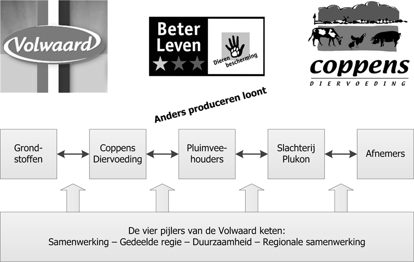 4.4 De vier pijlers