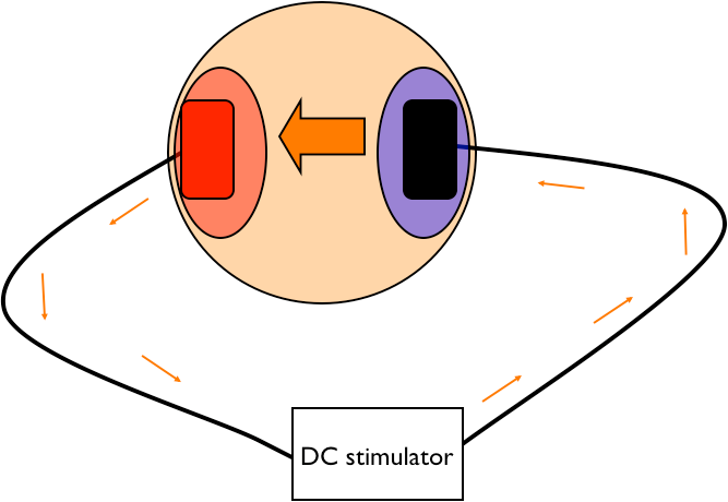 Transcranial direct current stimulation (tdcs) tdcs van de prefrontal cortex heeft een