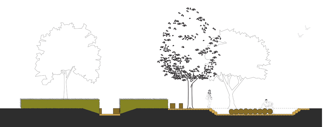 Bomen tijdens werk BuroDiep tuinvormgeving, Plan10 Tuindesign en Pijnenburg & De Bruijn interieurarchitecten Vestigingsplaats BuroDiep tuinvormgeving en Pijnenburg & De Bruijn in s-hertogenbosch,