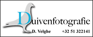 Rooike Dax NL07-3736587 (koop 68) 13 fondprijzen 14e Dax 3600 d. 59e Sint Vincent 3468 d. 82e Tarbes 3180 d. 91e Sint Vincent 3236 d. 97e Bergerac 4096 d. 119e Tarbes 2538 d. 119e Bergerac 4632 d.