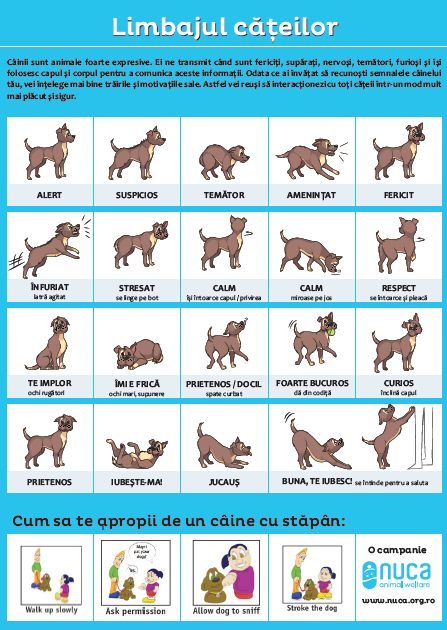 In 2015 hebben we de poster The language of Dogs ontworpen. Aan de hand van tekeningen leggen we de lichaamstaal van honden uit en laten we zien hoe je een hond moet benaderen.