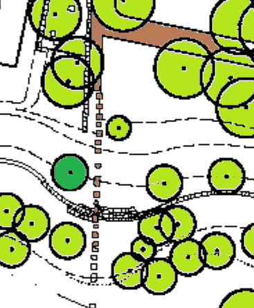 Bezienswaardigheden en wetenswaardigheden langs de route. Plantnummer: 1 1993 (naast G8) Hulst Ilex Wat is er te zien en te leren?