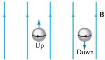 Kernspin resonantie (NMR) Kern in magneetveld heeft energie B Proton spin kan twee instellingen hebben (up, down) Dit leidt tot twee energieniveaus Er geldt In NMR opstelling plaatsen we een sample