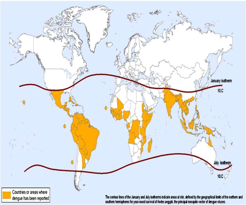 Dengue risico s voor reiziger LATIJNS AMERIKA 11.