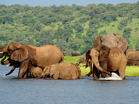 Rof & Ruig 4x4 konvooi Jo burg - Vic Falls 4x4 off-road konvooi nederlandstalige gids Zelf off-road rijden Wildernis Botswana Rof & Ruig Botswana Jo'burg - Vic Falls 17 dagen Ruw en ruig, zo kan je