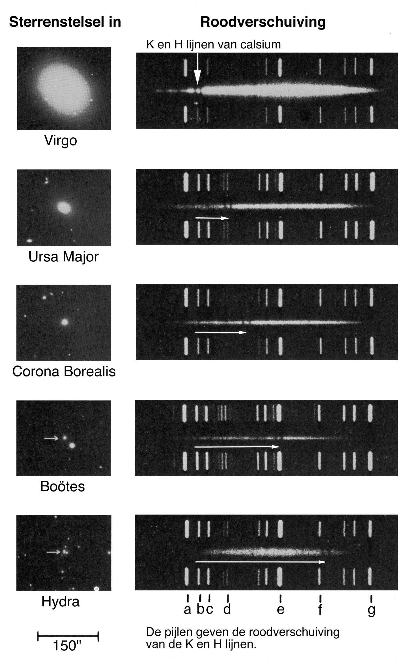 Wet van Hubble (1929) Concusie: Het heelal dijt uit!