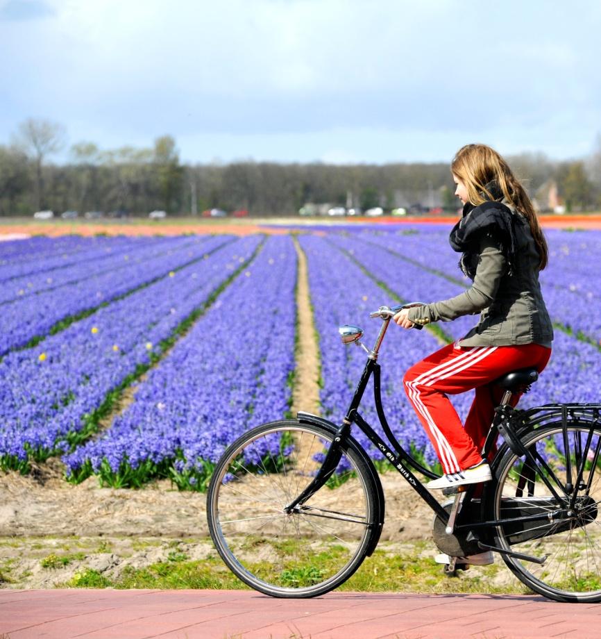 Voorkomen van